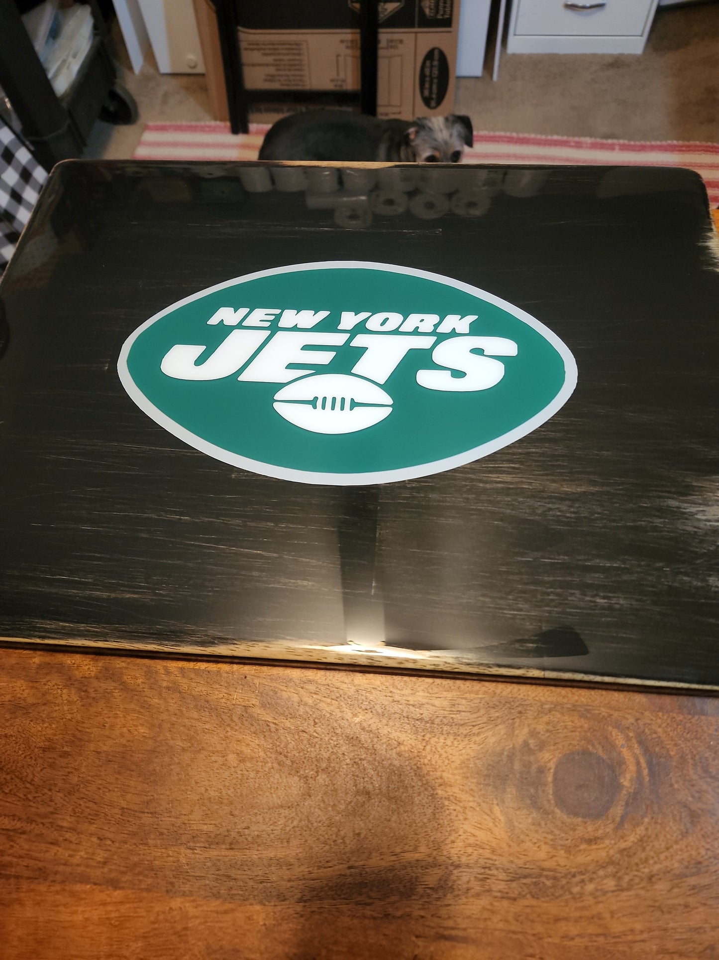 NFL TV tray - set of 4 with stand