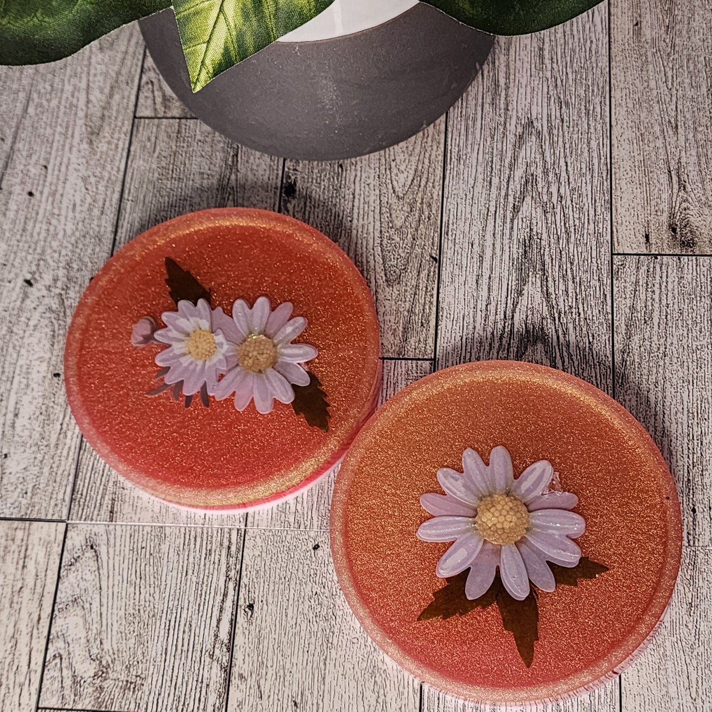 Whimsical resin coasters - set of 2
