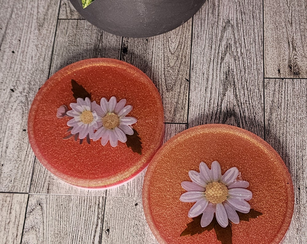 Whimsical resin coasters - set of 2
